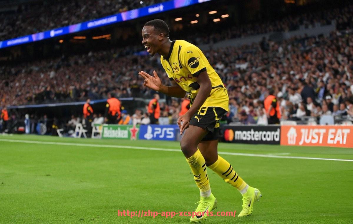 杏彩体育-法甲里昂历史各阶段的财务状况与变化