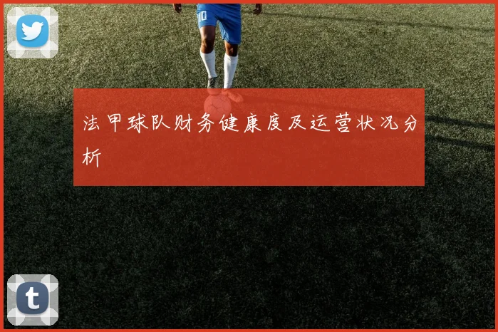 法甲球队财务健康度及运营状况分析