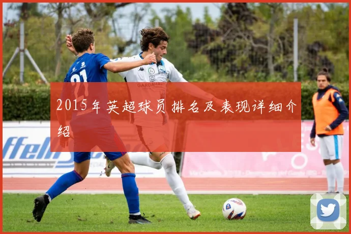 2015年英超球员排名及表现详细介绍