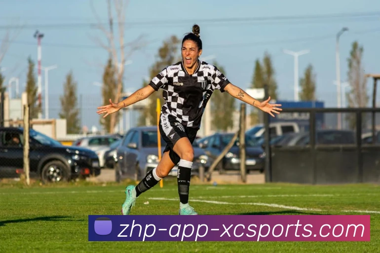 杏彩体育平台生态图