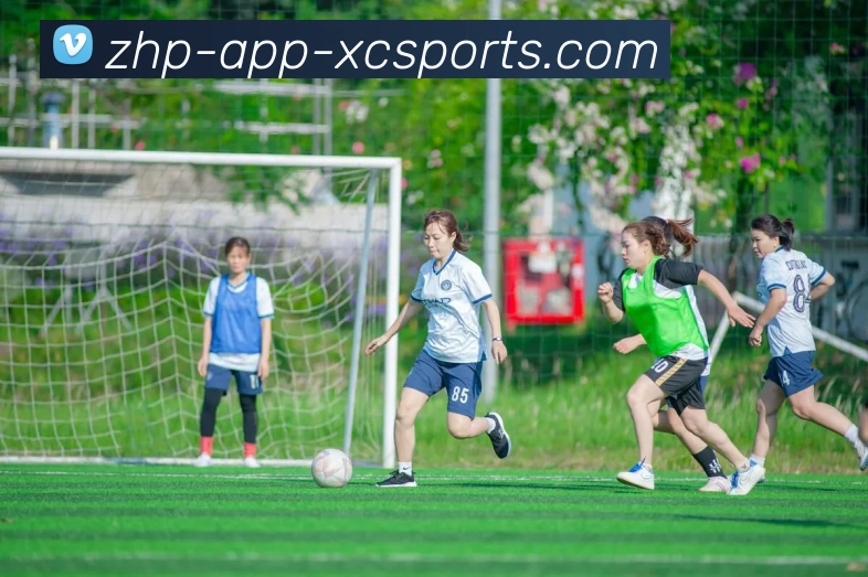 杏彩体育APP 封面图