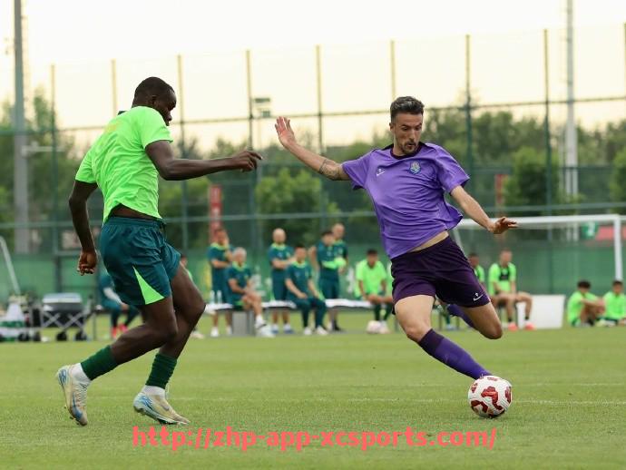 杏彩体育-美国NBA火箭队赛程安排及重要比赛预告