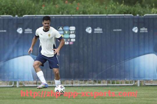 杏彩体育-法甲最佳射手数据分析及进球效率排行